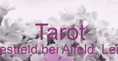 Tarot Westfeld bei Alfeld, Leine | Top-Experten für Kartenlegen, Wahrsagen, Hellsehen, Zukunftsdeutung. Tarot Westfeld bei Alfeld, Leine | Top-Experten für Kartenlegen, Wahrsagen, Hellsehen, Zukunftsdeutung.